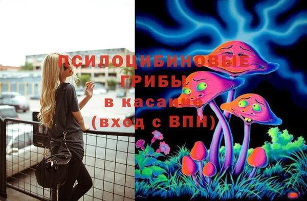 a pvp Козловка