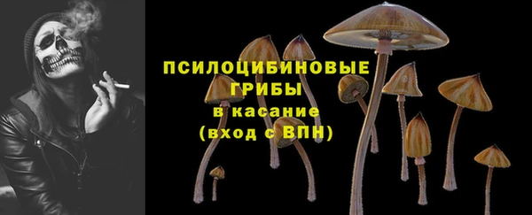 винт Козельск