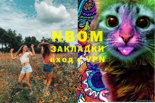 a pvp Козловка