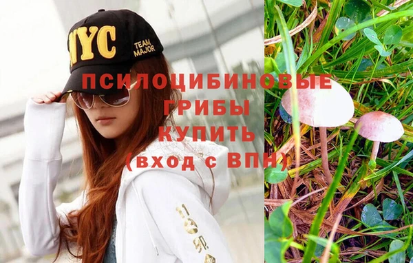 винт Козельск