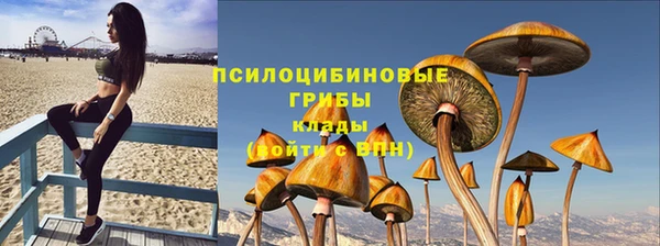 винт Козельск
